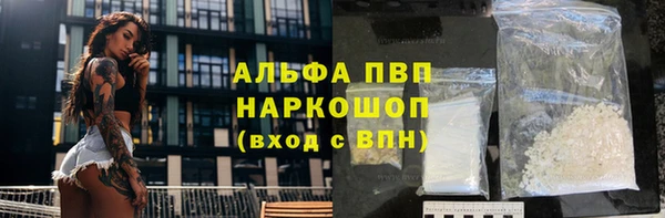 сатива Арсеньев