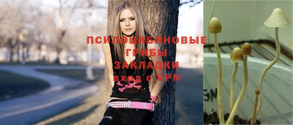 спиды Аркадак