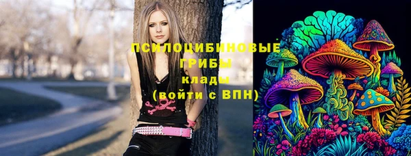 прущая мука Армянск