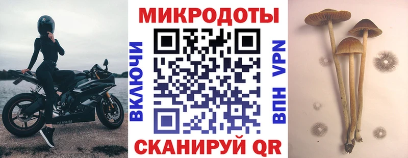 Галлюциногенные грибы Magic Shrooms  Краснослободск 